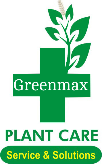 greenmaxfoundation